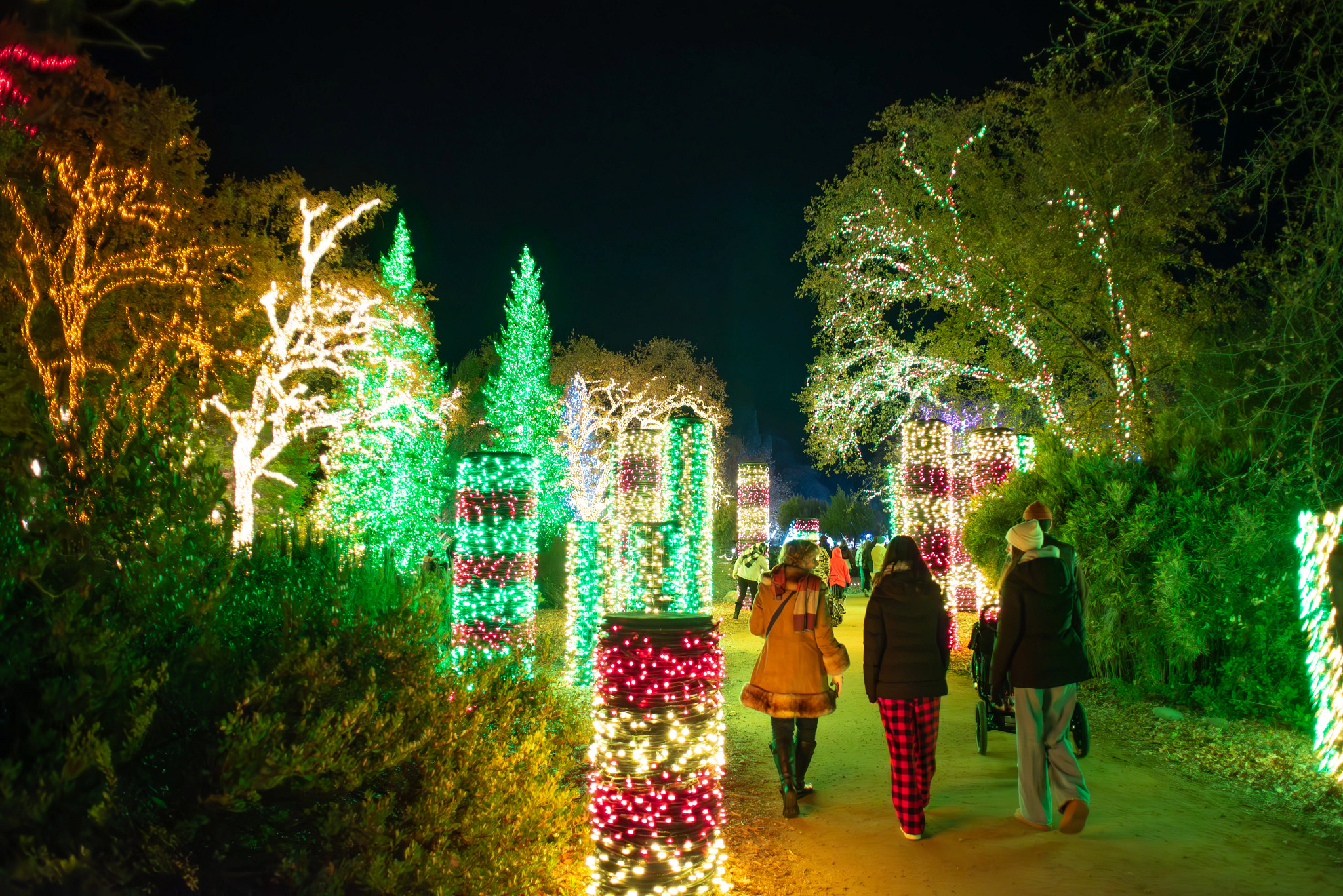people walk through a holiday lights display