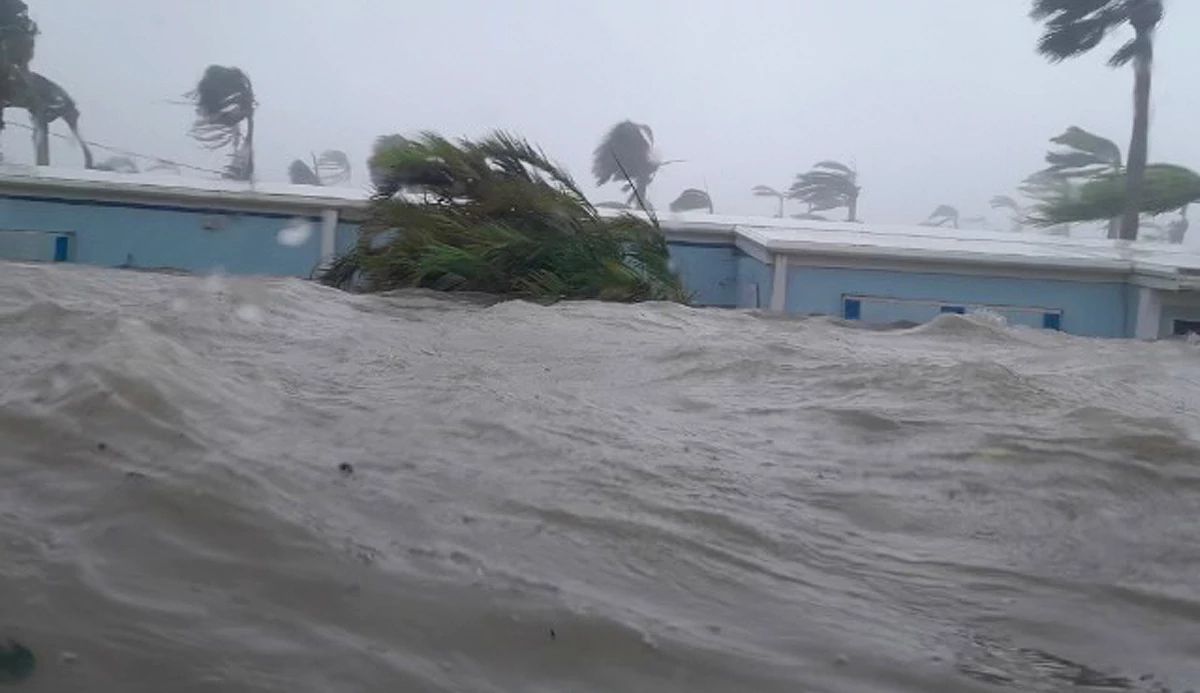Water and palm trees with a low, flooded blue building in the background