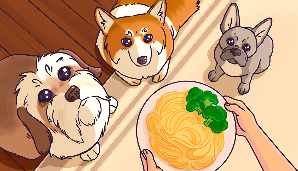 Dog Food Guide: What You Should and Shouldn't Feed Them - Vimarsana News