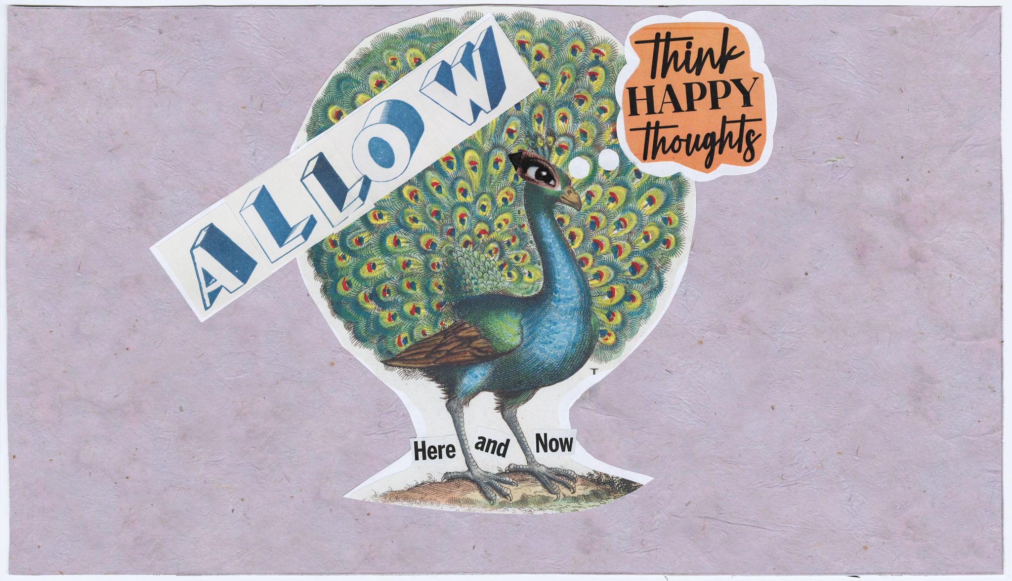 Her Manifestation Revelation Was Not What She Expected a peacock with allow think happy thoughts here and now written around it