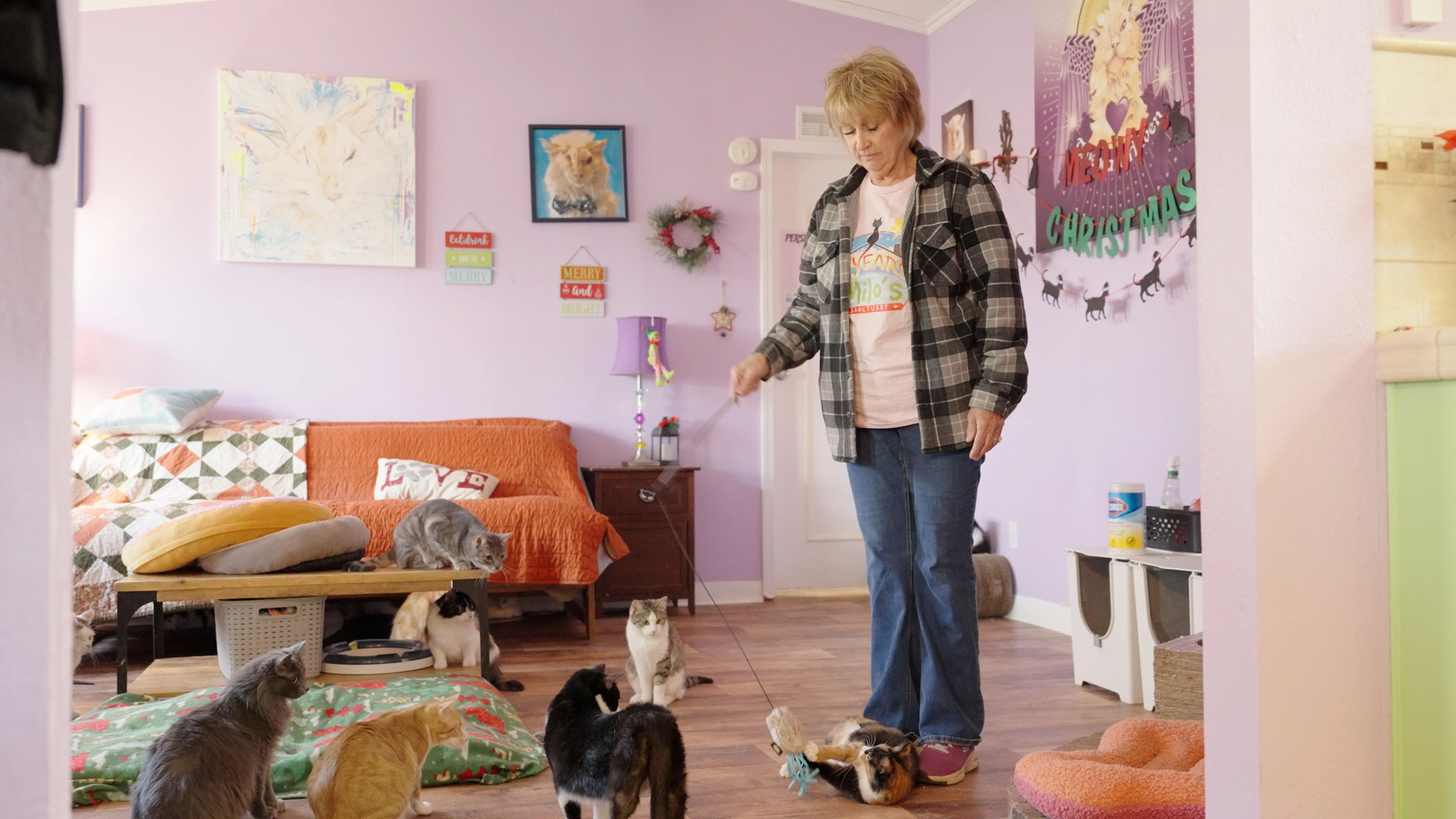 Michele Hoffman with cats