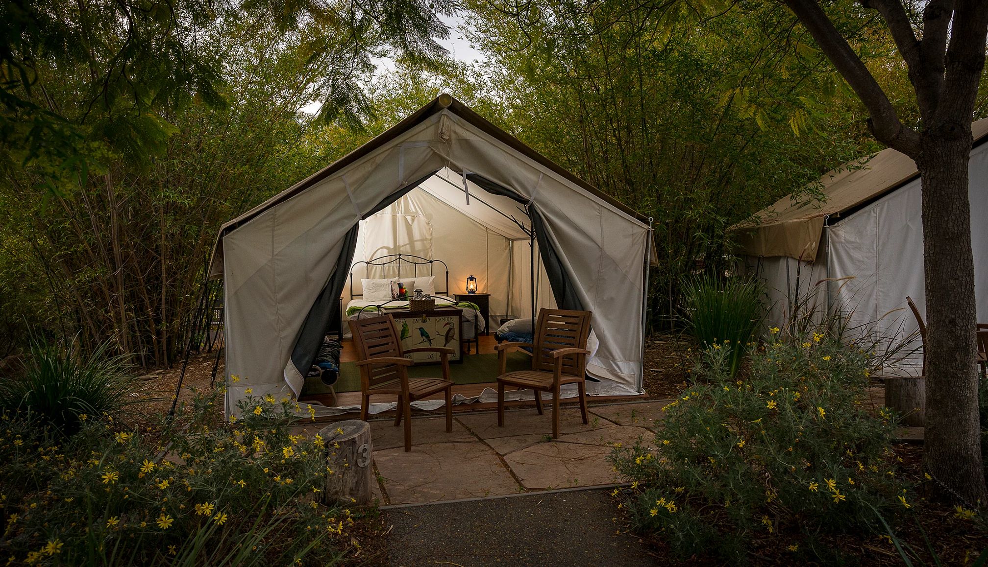 Late Night at the Zoo Events for Adults people sleeping in tents at the zoo