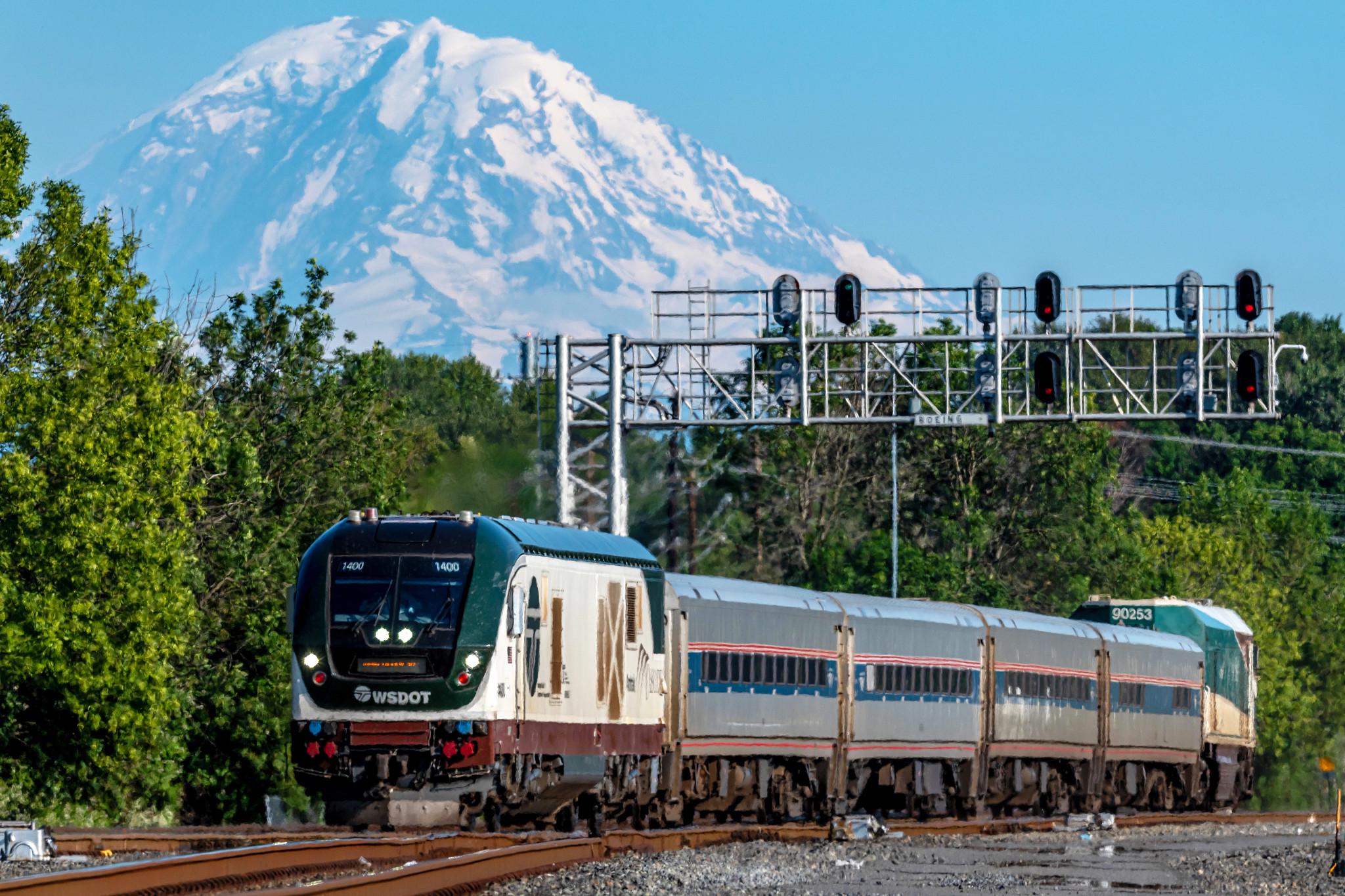 a train on tracks with trees and a mountain in the background