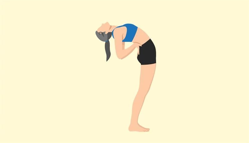 8 Exercises for Low Back Pain