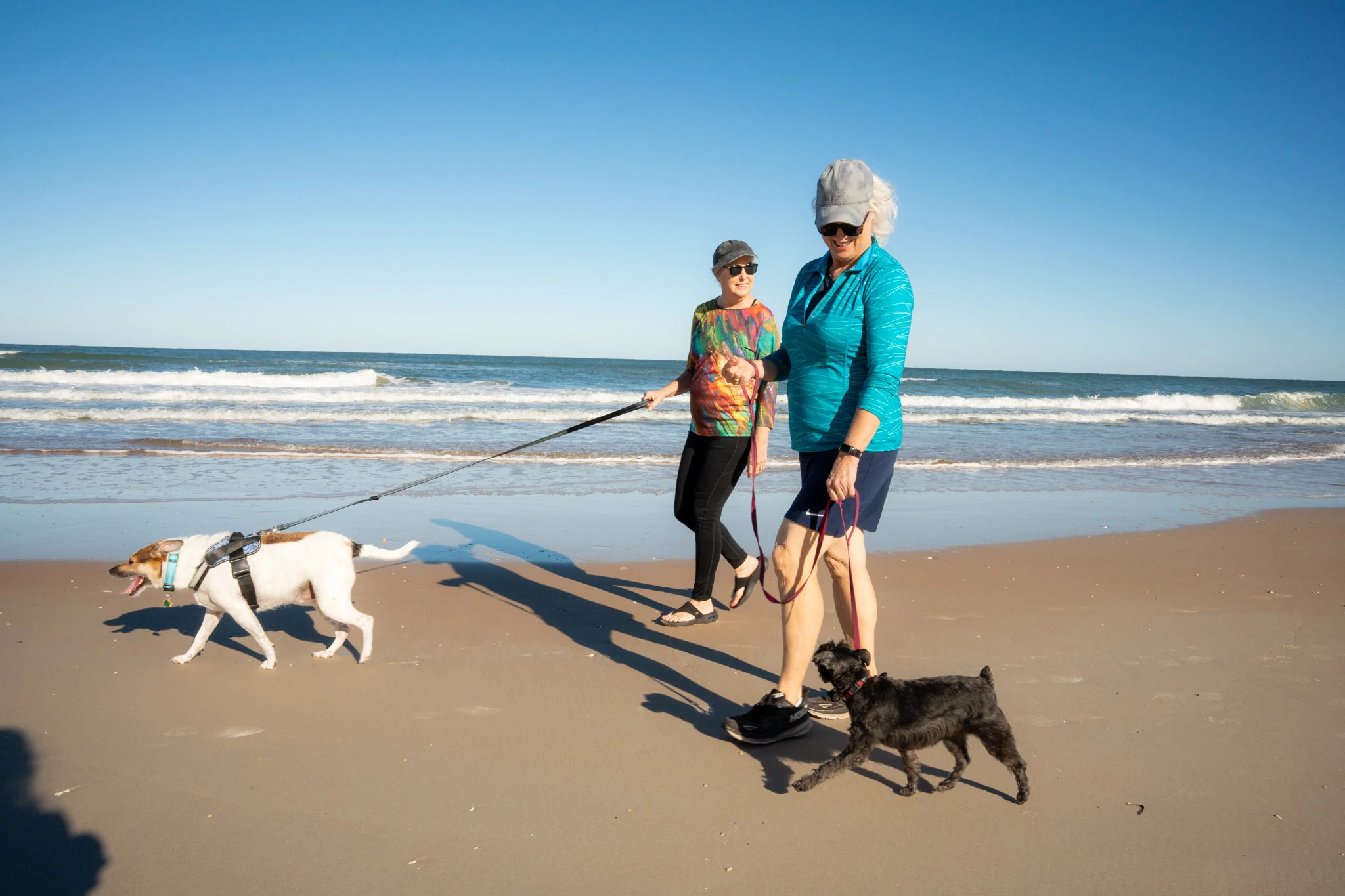 women walking dogs on a beach