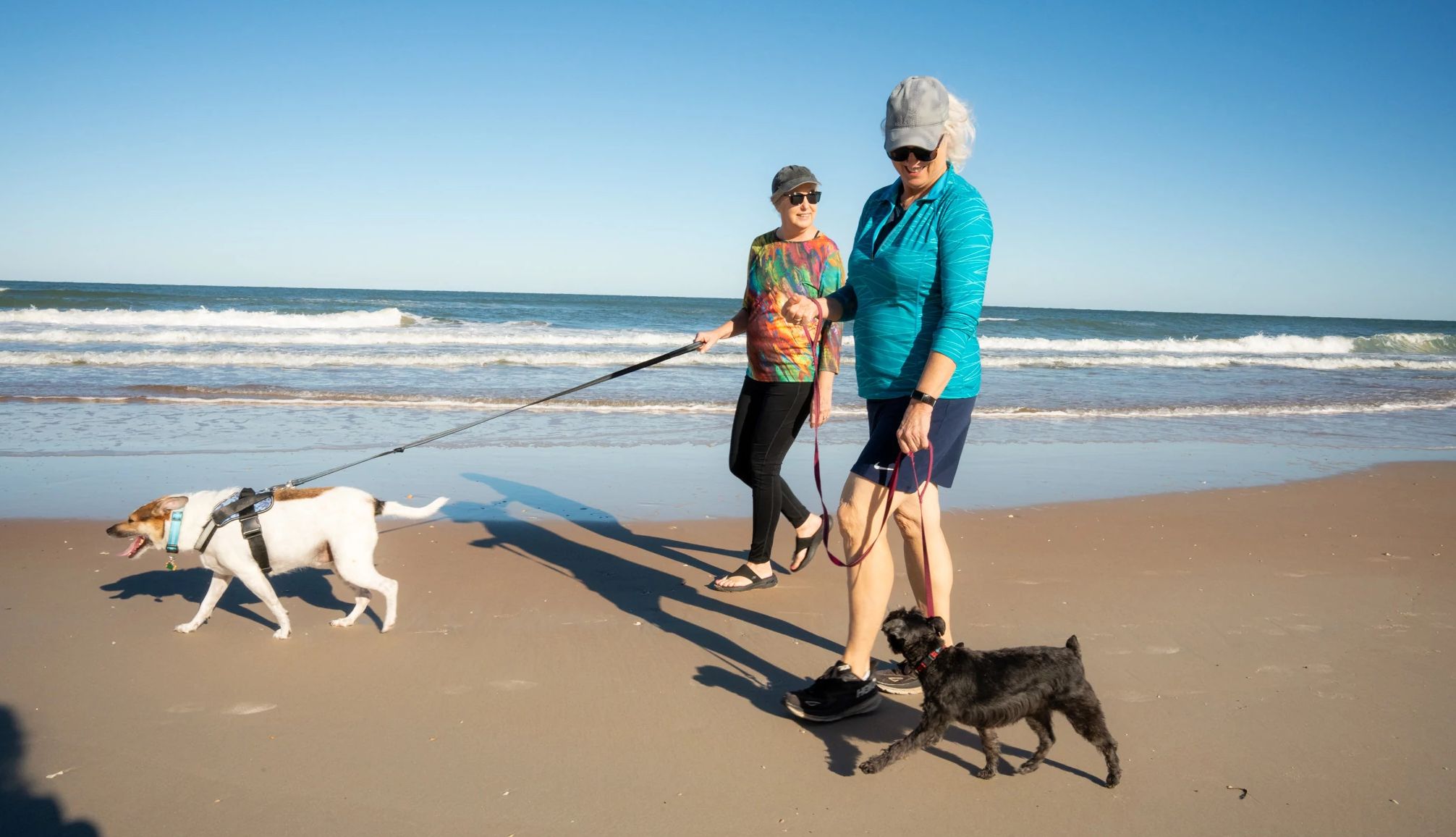 America's Hidden Beaches women walking dogs on a beach