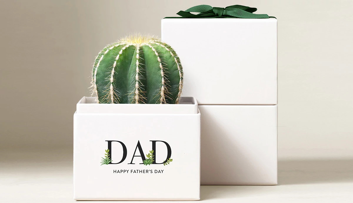 Cactus